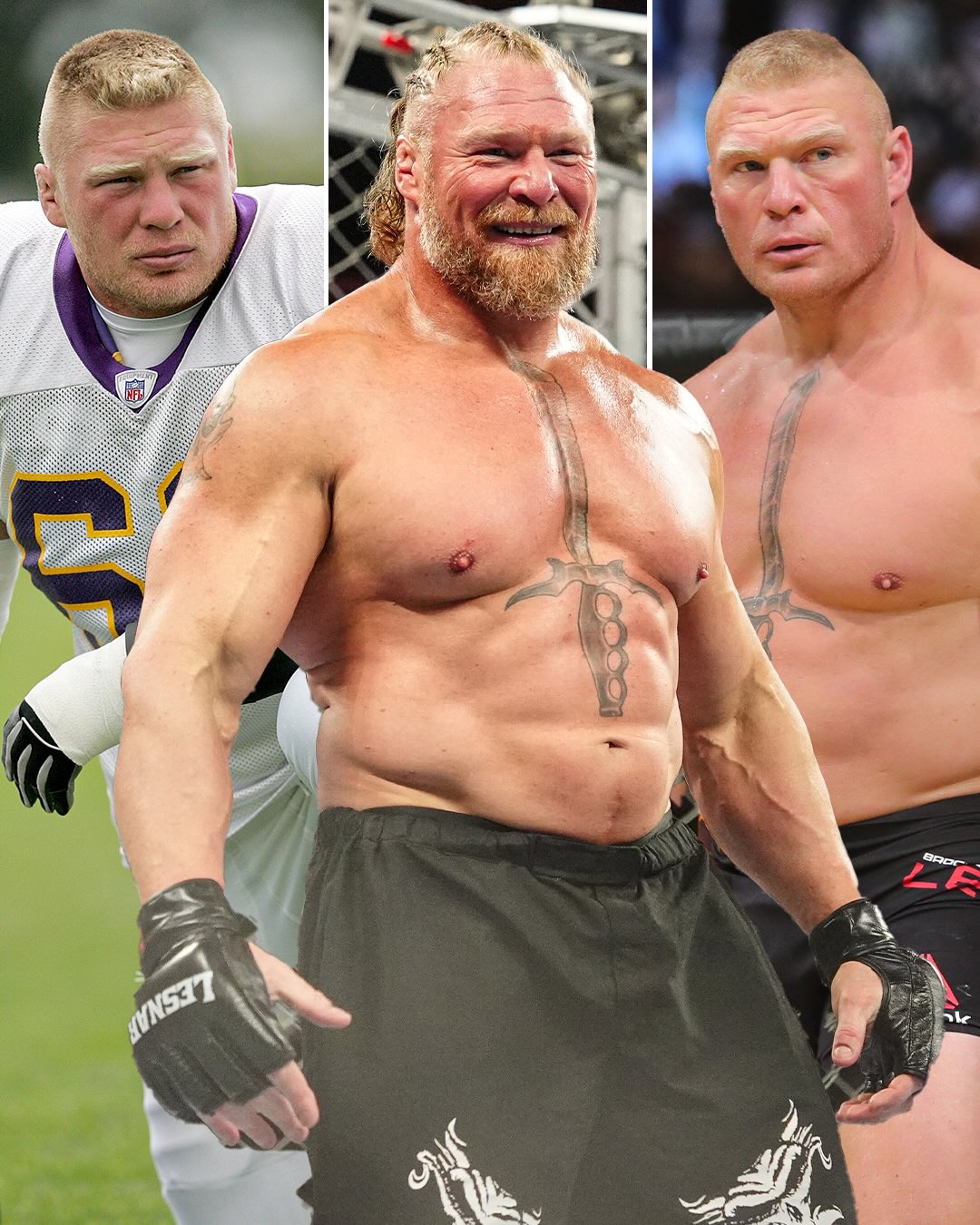 Brock Lesnar has won titles in both the WWE and the UFC after playing in the NFL for the Minnesota Vikings 🔥

One of the most impressive careers in sports 👏 #Wrestlemania
