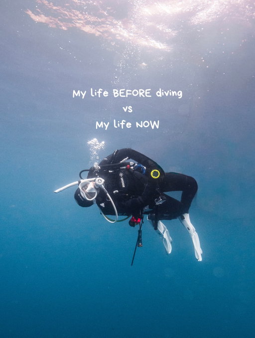 From office life to ocean life 🌊

I never thought my life would look like this.

Trading meetings for sea horses, screens for ocean views, and office shoes for fins was the best decision I ever made 🩵
