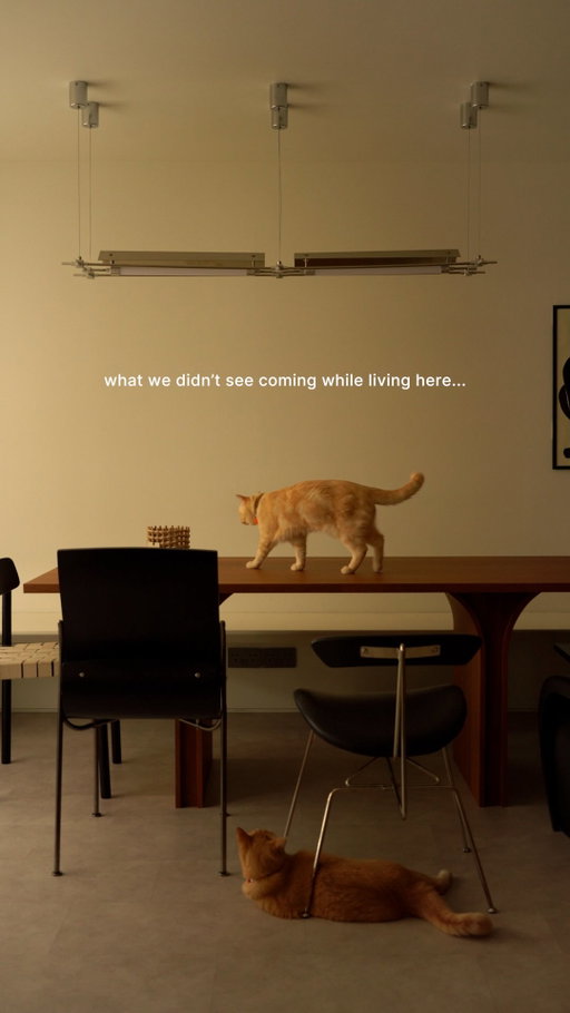 what no one told us about moving in... we started designing our own furniture, corners grow unplanned, then life moves in with the cat habits and toys everywhere, and the least we expect, our loved ones started leaving pieces of themselves here, building the space with us 🫶🍐