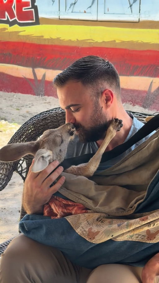 Kangaroos! 🦘 This is probably my 5th or 6th time back at @safari_edventure and definitely not my last! 

Feeding kangaroos, porcupines, capybara, camels, goats, donkeys and more is amazing but the people and stories of this place make me happy to know it all goes to a great cause. #animalsofinstagram #kangaroo