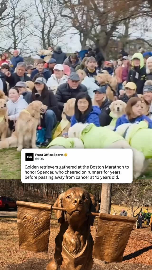 Spencer, a golden retriever who cheered on thousands of runners while holding Boston Strong flags at the Boston Marathon for eight years before passing away in 2023 at 13 years old after battling cancer.

A statue was built in honor of Spencer, which can be found at Mile 2 of the Boston Marathon. Each year since, golden retrievers gather at the race to honor the official dog of the Boston Marathon.

(🎥 via @onlyinbos)