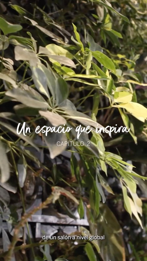 Capítulo 2 - Un espacio que inspira 🌿

Dentro del ritmo del aeropuerto, existe un lugar que respira distinto.
El jardín vertical de The Centurion Lounge transforma el entorno, aportando vida, calma y equilibrio a cada momento previo al viaje.

Porque incluso en tránsito, el bienestar también es parte de la experiencia.

#conAmex