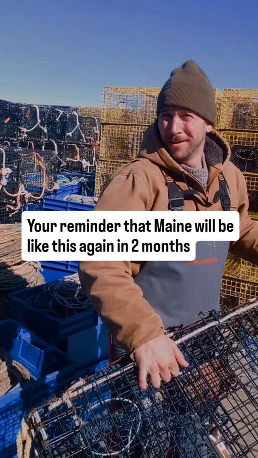 This is what we suffer winter in Maine for 

#maine #summer #tourists #mainelife