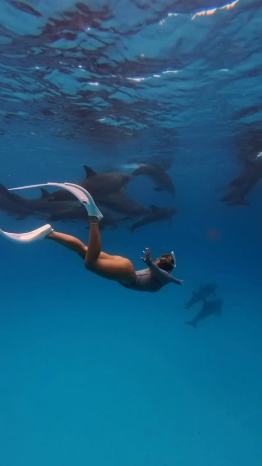 Best day of my life 👋🏼🐬✨ for years I’ve been waiting for this moment and it finally happened!! I love these animals so much! Interacting with them all alone in the open ocean was a moment I’ll cherish forever 🥹🫶🏼