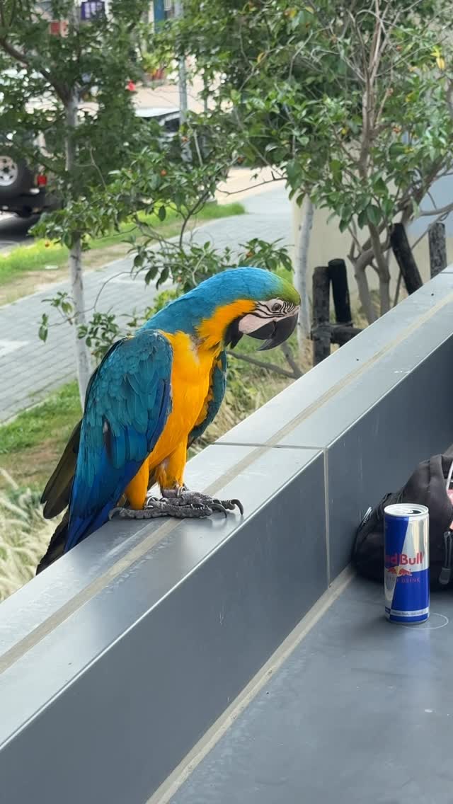 🔥 lineup just got heavier 

@tjrogers is joining the squad for red bull spot check: taipei this saturday april 25 
pull up skate the city with @yutohorigome @jamie_foy @zionwright @ryandecenzo @shecks @toreypudwill @gustavoribeiro & @chlo_the_flo 

是的 你沒看錯 TJ 加入我們了 4/25 還不來嗎

#redbullspotcheck