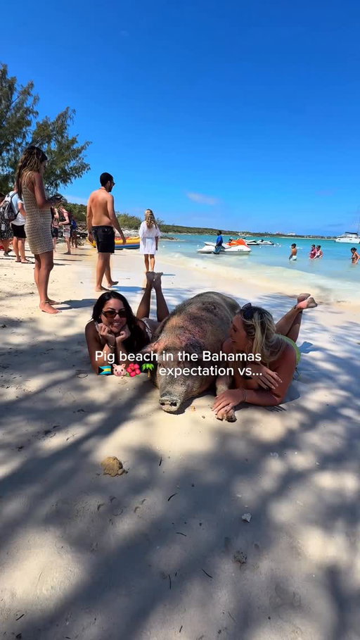 A Pinterest dream come true !!!!! 💀🐷🇧🇸✨💓🌴🌺 *Pro tip: you can skip this on your Bahamas trip….don’t feel like you have to because everyone posts it* #Bahamas #Nassau #Travel