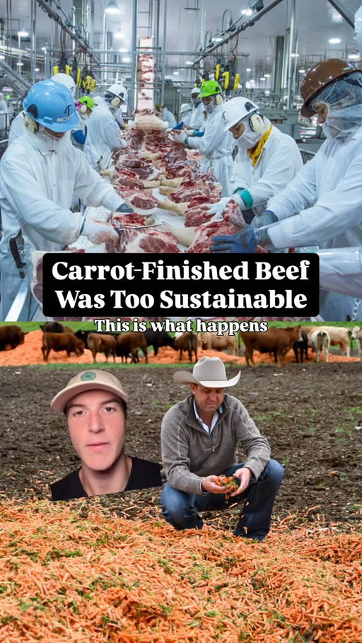 This is what happens when you fight back against the system and the system bites back.

Santa Carota Beef went viral for their new method of finishing beef on carrots…a sustainable alternative to conventional feedlots. 

They go through 1 Million Pounds per day yet remarkably their testing revealed none of that is metabolized into sugar as Cows are ruminant animals with multi-chambered stomachs.

Customers love the taste and Santa Carota sells it at a premium - because it is.

But that all came crashing down when the industrial food system ruined it.

Listen to the founder Justin Pettit:
”We caught a large meat processor mixing foreign beef with ours and essentially burned us for millions of dollars”

”We’ve opened up a lawsuit about a year ago, we’ve tried mediation, they have no intentions of settling and only want to just to put us out of business

The food system is overrun by consolidation, especially prevalent in the beef industry where just the big 4 control nearly 85% of the market. 

If you want to help go support Santa Carota Beef directly, especially if you are in the area. 

This is your friendly reminder to buy from your local cattle ranchers that are innovating with sustainability.