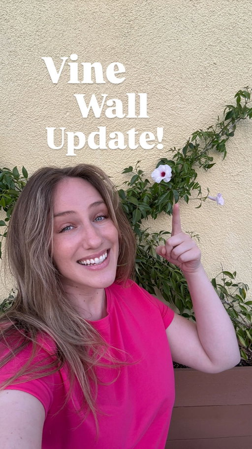 Comment “WIRE” and I’ll send you the wire kit we used and the irrigation system! #neverleaving #vine #vines #backyard #backyardmakeover