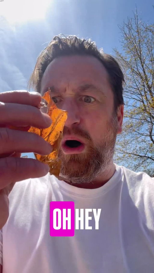 Tix link in bio MAY 1st & 2nd at Comedy Corner Underground (in @whiteysoldtownsaloon ) with M.J. Matheson! #nature_obsession #minneapolis #comedyshows