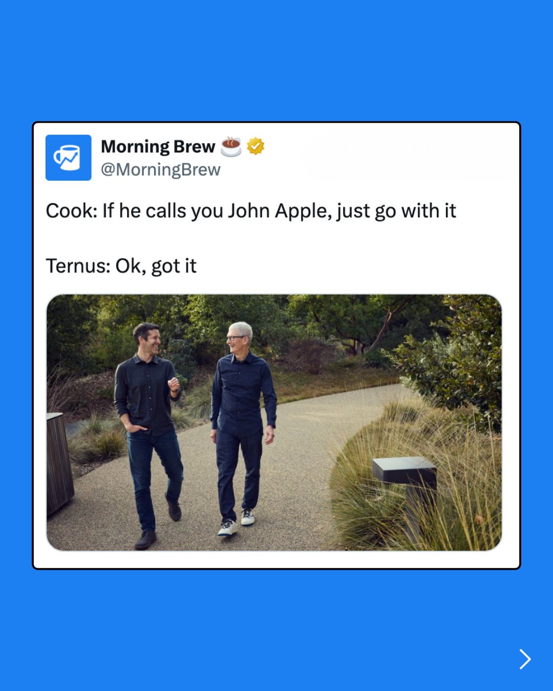 Tim Cooked...but now it's John's Tern