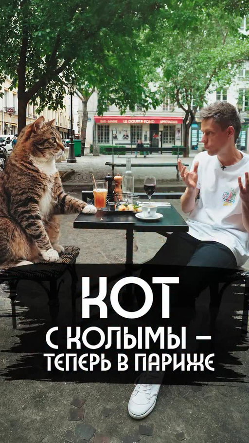 Сняли 40-минутный шортс про кота с Колымы

7 лет назад (да, уже 7 лет!) мы проехали 2000 км трассы Колыма и сняли большой выпуск – про ГУЛАГ, сталинские репрессии и то, что осталось в этих местах после них.

Там было много грустных историй, но как минимум одна оказалась очень жизнеутверждающей.

Один из наших водителей рассказал: за год до нас группа французских документалистов посреди ледяной дороги, в сотнях километрах от ближайшего населенного пункта, встретила замерзающего кота. Французы подобрали его, согрели и – как бы сложно это ни было организовать – увезли в Париж:

«Он должен был просто умереть там на дороге, а в результате оказался… Мы между собой шутим: надо было выйти на дорогу, чтобы меня во Францию забрали».

Мы нашли этого кота.

Его спас известный французский документалист Микаэль Пражан, он назвал кота Варлам – да, в честь Варлама Шаламова – и теперь они в Париже.

Когда мы приехали к ним в гости, оказалось, что история кота Варлама зарифмовалась с судьбой самого Пражана – в середине прошлого века его отца, тогда маленького ребенка, почти погубил нацизм, но одна удивительная встреча спасла его.

Получился небольшой выпуск про стремление к жизни. И про то, что жизнь всегда стоит того, чтобы за нее побороться.

Ссылка – в профиле, заходите!