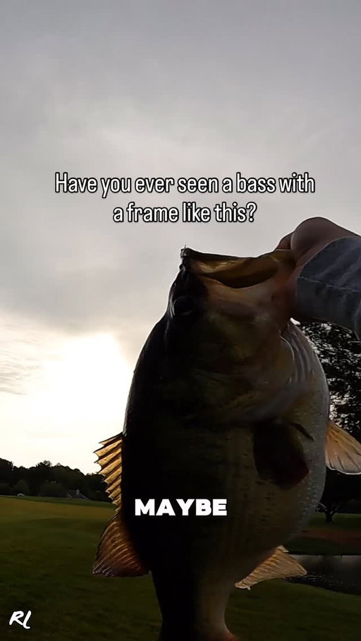 Guess the weight in the comments… 

•
•

#bassfishing #reels #viral #trending #largemouthbass