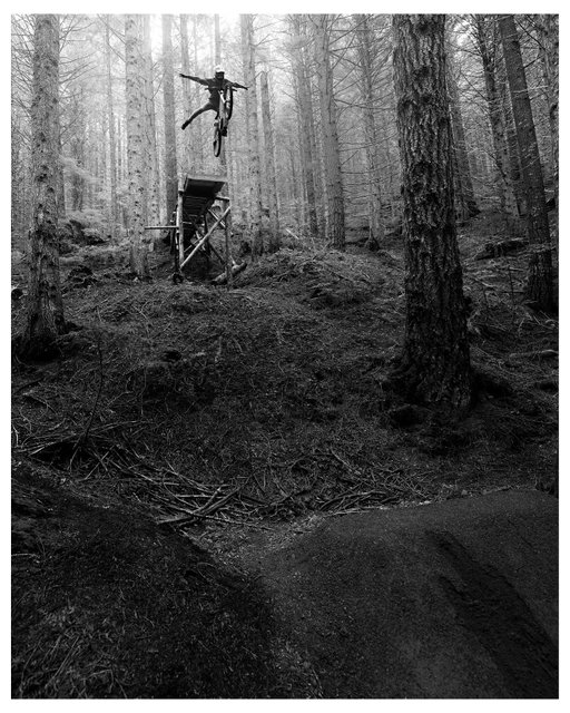 Harvesting 🌿 // 📷 @tobycowley