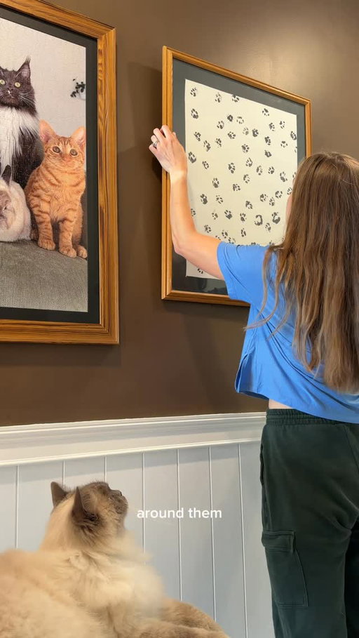 Living in a cat house and I wouldn’t have it any other way 🐱 We use @freshstep Odor Shield for 15-day odor control + paw-activated freshness! Shop at the link in our bio 🔗

#FreshStepPartner #IsItCrazyOrIsItLove

Febreze is used under license from P&G.