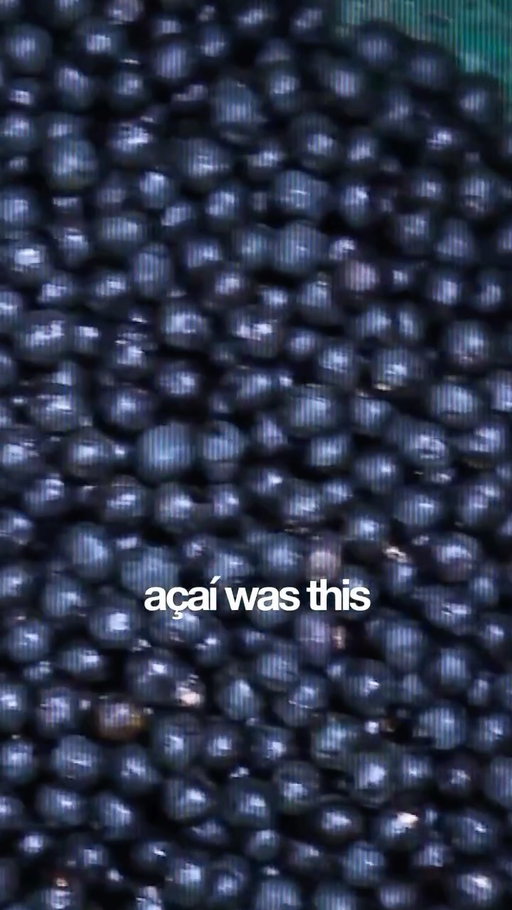 🌴 there’s a $100M+ supply chain built in the middle of the rainforest.

@Sambazon was the first to bring açaí to the U.S. A fruit known for its high antioxidant content and healthy fats.

But the real story isn’t the product. 
It’s the system behind it.

🇧🇷 Sambazon invested directly in building processing facilities in the Amazon. 

👨🏾‍🌾 they work with thousands of local harvesters, providing the training and support needed to maintain organic, pesticide-free practices.

🫐 they built the first certified fair trade, organic açaí supply chains in the world.

Here’s the shift:
The rainforest isn’t a cost. It’s the asset.

The more valuable the forest is standing, the less incentive there is to cut it down.

That’s Good Money 💰

Who else is building like this? Drop a brand below. We’re picking our next story from the comments.

#goodmoney #sambazon #stakeholdercapitalism