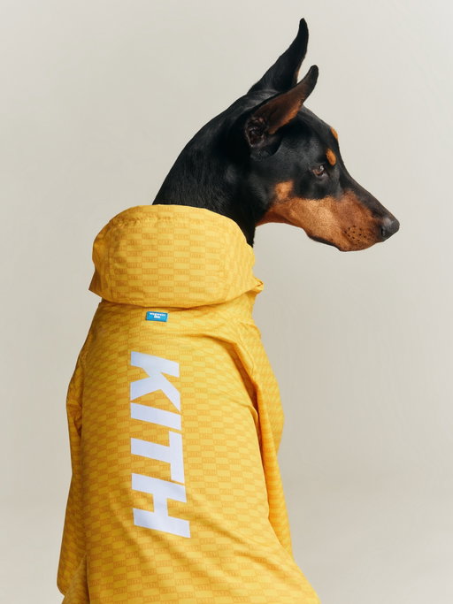 Kith for wagwear

We partnered with fellow NYC-based brand wagwear to present our first-ever pet collection, featuring dog apparel, walking accessories, toys, and more.

Available Monday 4/27 at 11AM EST/GMT/CET/JST in-store, online, and on the Kith App. View the editorial now (link in bio).