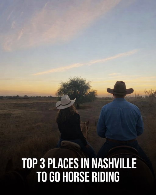 Saddle up for a side of Nashville you don’t want to miss 🤠🌿 Whether you’re chasing sunset views or just want a peaceful ride through nature, these three spots deliver the perfect escape. At Percy Warner Park, you’ll ride through scenic wooded trails that feel miles away from the city. For a more guided, countryside vibe, Juro Stables offers relaxed rides perfect for beginners and pros alike.

If you’re looking for something a little more adventurous, Natchez Trace Stables lets you explore one of Tennessee’s most iconic routes on horseback 🐎✨ It’s giving main character energy, fresh air, and a break from the usual Nashville buzz—so grab your boots and make it a day to remember.