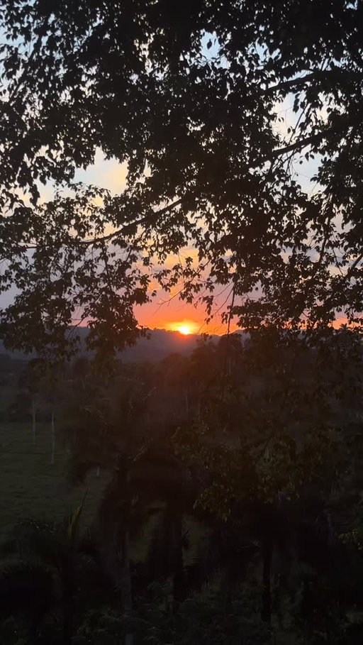 Sunsets at OYA 🌅

As the day slows down, the jungle becomes quiet and the sky turns golden.

A perfect moment for reflection, connection, and gratitude.

Sometimes the most healing experiences are the simplest ones.

Which is your favorite?

#sunsetmoments #retreatlife #wellnessretreat #slowtravel #dominicanrepublic