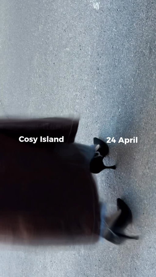 @cosyisland_official - is all about effortless style and everyday comfort. Minimalist design, quality materials, and versatile pieces that easily pair with any look — from casual to more polished outfits.

I’m genuinely obsessed with these shoes: they’re super comfortable, look elevated, and are incredibly practical .. 

#cosyislanders #influencermontreal #fashion #brand #shoes