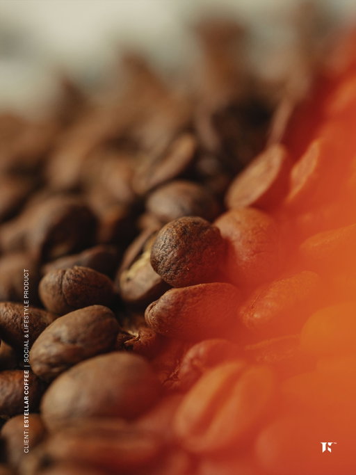 Lifestyle product shoot with @estellarcoffee ☕️ More coffee coming up next! Happy Friday everyone!