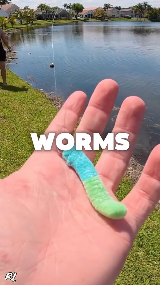 Catching PEACOCK BASS on GUMMY WORMS⁉️

•
•

#reels #florida #peacockbass #viral #fishing