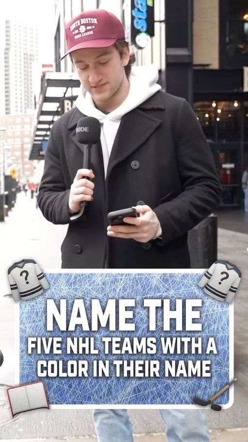 Can you name the FIVE NHL Teams with a color in their name?? 🤔🏒

-
-

#nhl #hockey #nhlhockey #nhlallstar #hockeylife