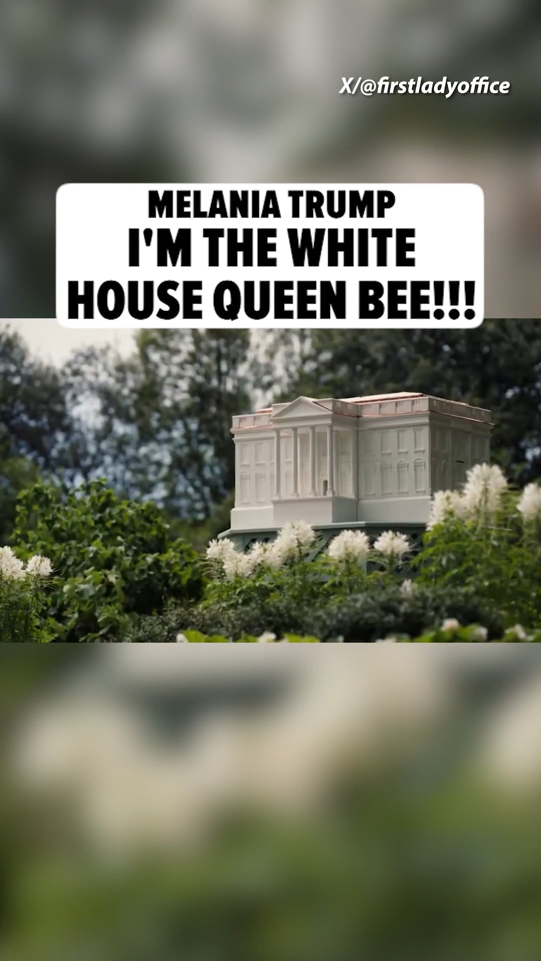 🐝🍯 Melania Trump is running a honeypot operation out of the White House ... as in, she's adding a couple new bee colonies to bump up honey production.

ALL THE DETAILS AT THE 🔗IN BIO.

🎥: X/firstladyoffice
