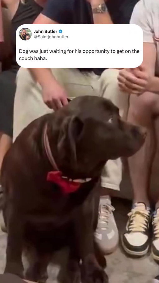 The dog just wanted his spot on the couch 🤣 (via @georgiafootball, h/t Saintjohnbutler/X)

#nfl #nfldraft #dog #georgiabulldogs