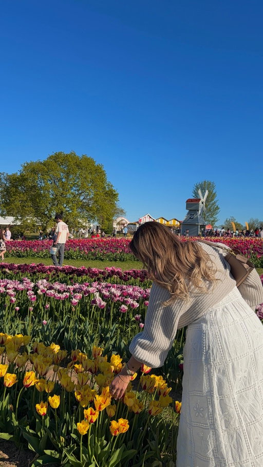 🌷💗