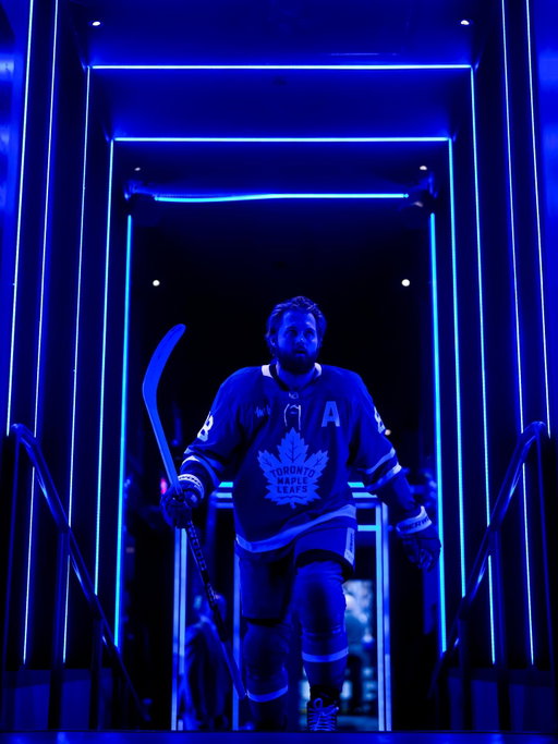 love the blue&white love the fellas love leafs nation i can’t wait for next season:)