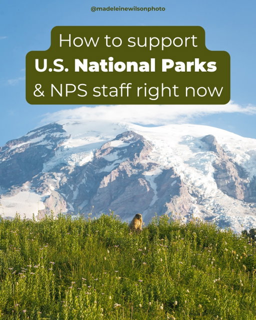 Our national parks are being asked to do more with less. Again. 🥴 And they’re facing more budget cuts. Also again. 👎

📈 Visitation is up (323+ million visits in 2025)
📉 Funding and staffing are down (~25% of NPS staff lost since 2025 & 2027 budget cuts could slash ~25% of park operations funding with other cuts threatening even more)
 
The people working to protect these places are stretched thin. So if you’ve been wondering how to help, this is a great starting point.

📆 Visit during off-peak seasons & hours
🗑️ Pick up after yourself
📍 Plan ahead & prepare
📜 Follow the rules
👋 Give rangers a smile & be kind
🐻 Leave wildlife alone
📚 Learn the history of the land you’re on & show up to ranger programs
💌 Say thank you to staff/write thank you notes
📞 Call your representatives & put pressure on them
💸 Support park organizations
💪Volunteer
📲 Follow your favorite parks online
🛍 Shop local in gateway communities
📢 Use your platform to spread accurate, responsible information￼

ACCESSIBILITY NOTE: These slides all have text on them - too much to include in this caption. If you want to read this post, I have a blog post version of it that’s actually more in-depth available on my website. 

DISCLAIMER: I am not affiliated with the NPS or any of the organizations mentioned. I have not received any compensation or incentive (monetary or otherwise) to post about this. 

SOURCES: all available on the last slide. 

#nationalparks #nationalparkservice #protectpubliclands #parkranger #nationalparksusa