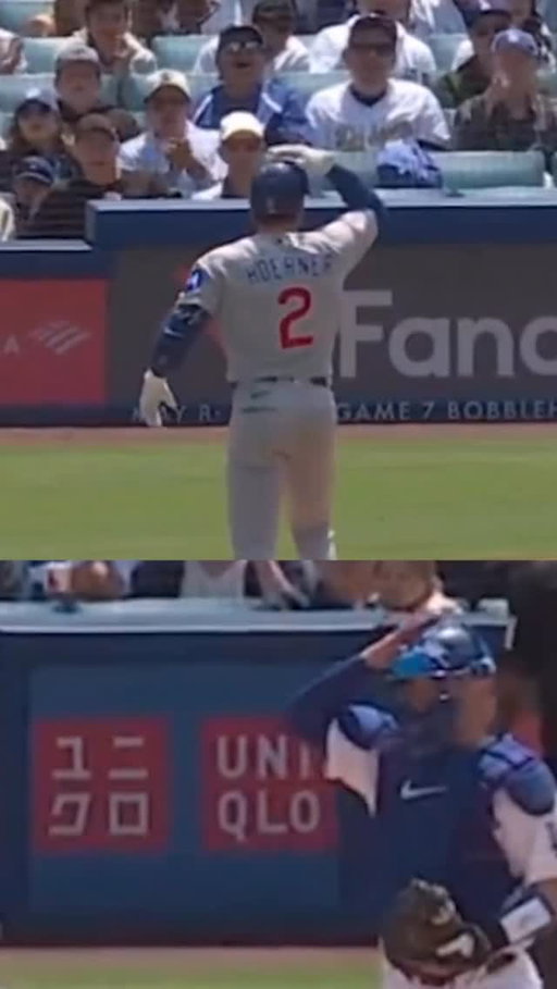 Dodgers catcher Dalton Rushing and Cubs batter Nico Hoerner both challenged the same pitch