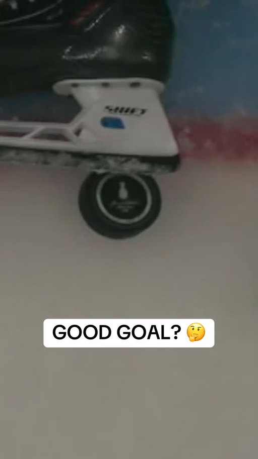 Ryan Poehling’s OT winner came down to a lengthy video review after this was called a goal on the ice, and later confirmed.

(via ESPN)