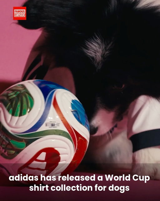 adidas has launched a World Cup shirt collection for dogs

The FIFA World Cup 2026 pet jersey collection, lets football fans match their national team colours with their four-legged companions.