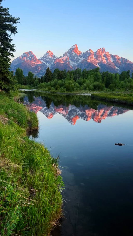 The beauty of a Wyoming summer 🏔️🐻