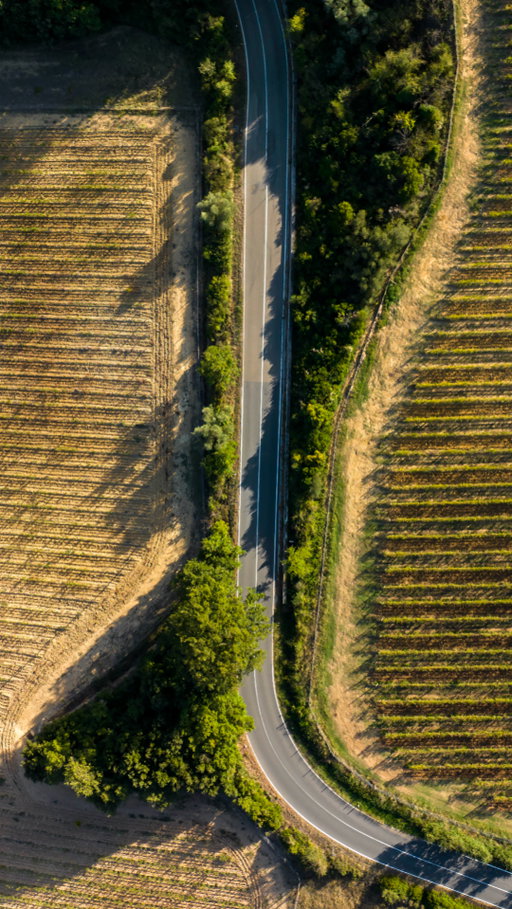 Gretole: the name comes from grey friable galestro rock.
The rock that defines Chianti Classico terroir. The foundation of Riserva Ducale Oro.

Ruffino's largest estate, where every detail tells a story.

Discover more at link in bio.

•

Gretole: il nome deriva dalla roccia grigia friabile di galestro.
La roccia che definisce il terroir del Chianti Classico. Le fondamenta della Riserva Ducale Oro.

La più grande tenuta Ruffino, dove ogni dettaglio racconta una storia.

Scopri di più al link in bio.

#Ruffino1877 #TenutaGretole #GretoleEstate #ChantiClassico #RuffinoWines