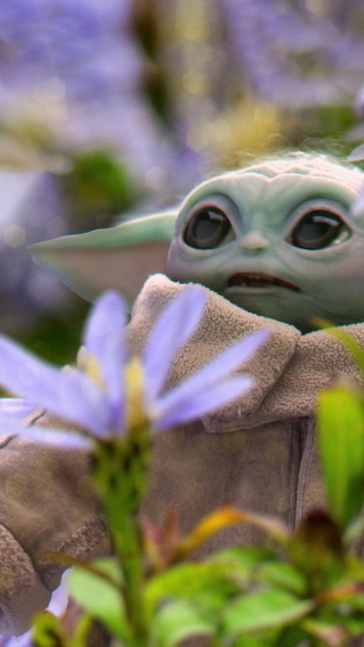 There are forces of nature… and forces of wonder.
 
#StepIntoWonder with National Geographic’s #EarthMonth collection on @DisneyPlus and don’t miss Star Wars: The Mandalorian and Grogu in theaters and IMAX May 22.