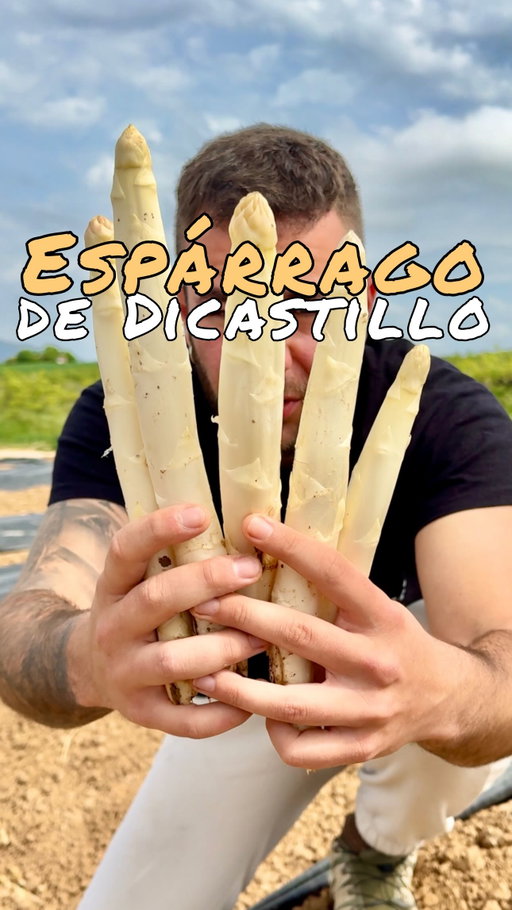 ⚪️ESPÁRRAGO⚪️
“de Dicastillo”

Cuando hablamos de huerta nadie puede negar que el producto de Navarra es de primera.

Por eso estáis todos invitados a Dicastillo (Navarra) el día 3 de Mayo por la mañana, con puestos artesanos, degustación de espárragos y sobre todo un ambiente precioso. Nos vemos!