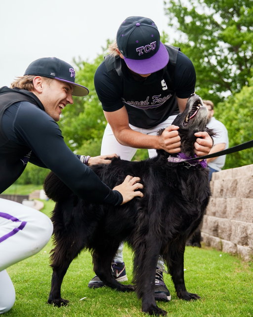 the welcoming committee is here 🤪🐾

#GoFrogs | #FrogballUSA
