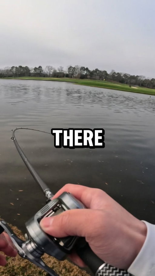 WHAT DID I JUST CATCH⁉️

•
•

Go check out @yorkcasting_co if you haven’t already to grab yourself a nugget! 

•
•

#fishing #golfcoursepond #northcarolina #viral #reels