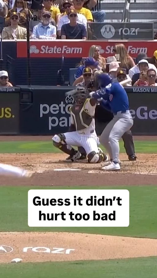 Nico Hoerner looks like he thoroughly enjoyed getting hit in the head