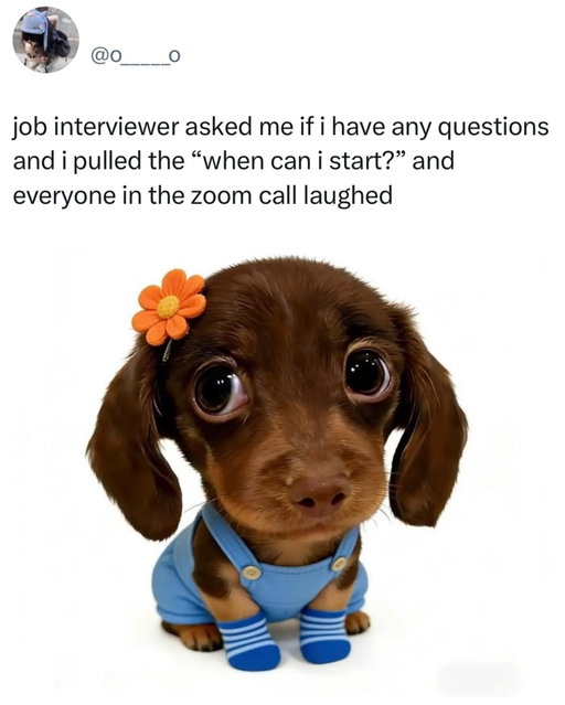 hehehenoseriouslyineedthisjobhehe
(X/o_____o)