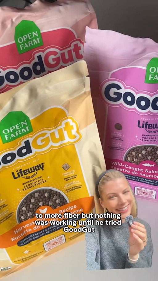 Teddy’s story 💚 Everything changes with a healthy gut. Better immunity, energy, digestion and cognition.
GoodGut is everyday gut health built into your dog’s food, eliminating the need to reactively manage symptoms or stack multiple products.

Why you’ll love it:

💚 Afoundational, everyday kibble with a complete system of prebiotics, probiotics, and postbiotics so gut health is built into the food, eliminating the need to reactively manage symptoms or stack multiple products.

💚 Powered by a proprietary 10-strain probiotic system, including Canine Culture™ developed with @lifewaykefir, delivered at 2B CFU per Ib to support a healthy gut microbiome, better nutrient absorption, improved stool quality, and more consistent daily wellness.

💚 Formulated by our in-house veterinary nutritionist, who hand-selected each ingredient for a clear, functional role. Ingredients like psyllium seed husk, green-lipped mussels, and salmon oil are included at efficacious levels to support a healthy gut and digestion for lifelong health.

💚 Made with high-quality, ethically sourced proteins like grass-fed beef, humanely raised chicken, and wild-caught salmon, plus freeze-dried raw pieces, delivering exceptional palatability and the highly digestible protein dogs need to thrive.

#GoodGut #GutCheck