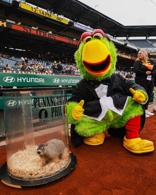 PA’s very own Punxsutawney Phil!