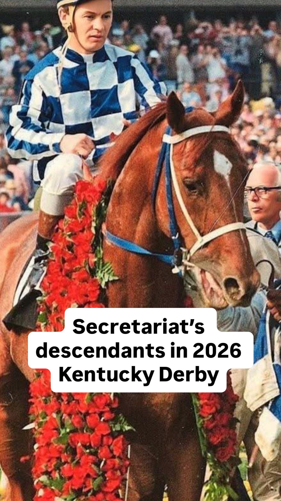 19 of the 20 horses in this year’s Kentucky Derby are all related to Secretariat 🤯 #secretariat #racehorses #kentuckyderby #horseracing