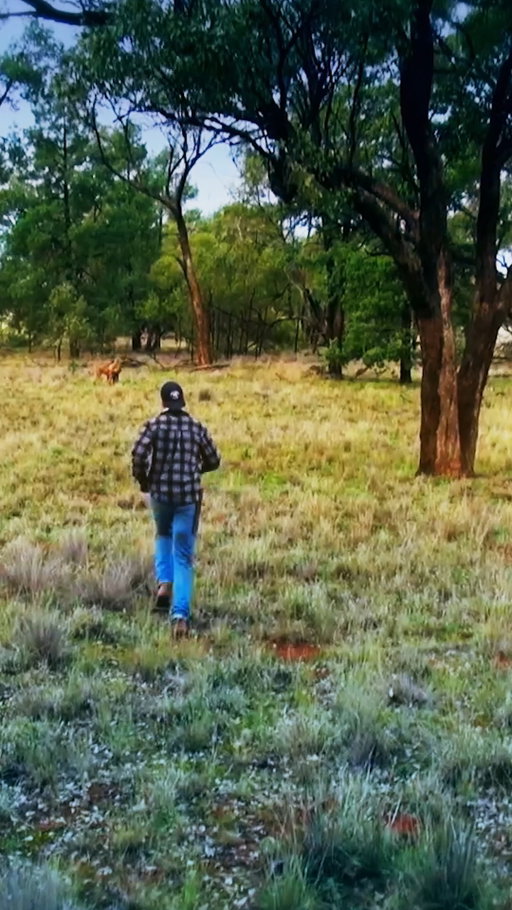 Man fights a kangaroo to save his dog. 

#TheUnBelievable