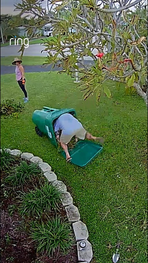 Happy Friday! A reminder to not take yourself too seriously even when you're in the dumps 🚮... the wife just rolling on the grass in laughter 🤣
@ring #ad #laughalittle #goodnews