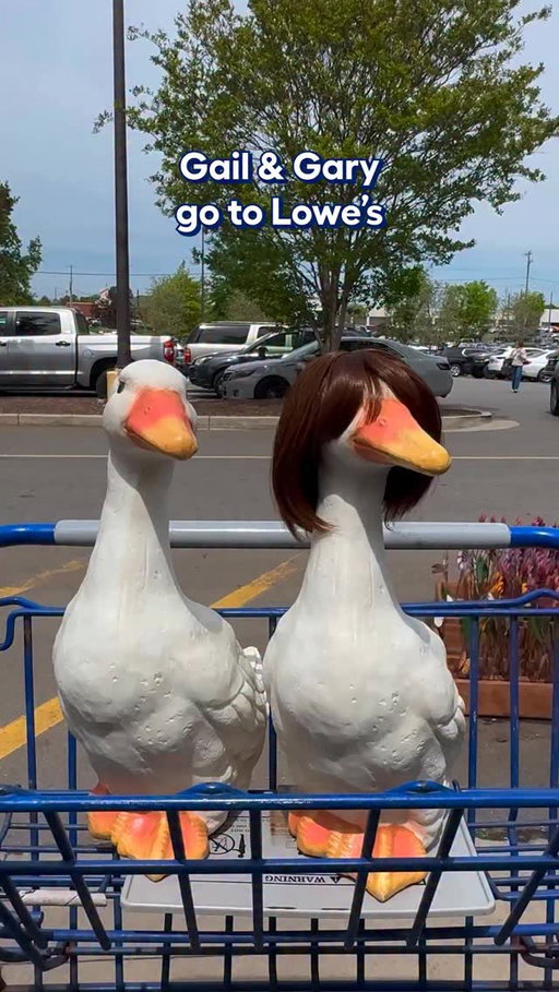 POV: Gail & Gary Goose go on a Lowe’s run 🪿💙🌸 Bring home our iconic porch goose with the link in bio!*

*Wig not included or sold.