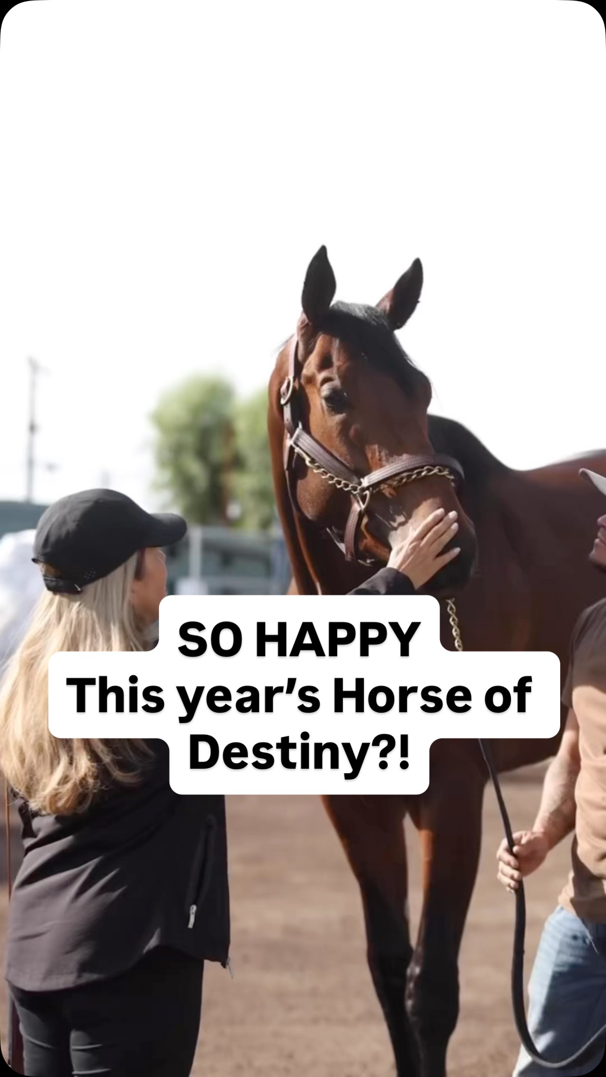 So Happy should be the horse of destiny in this year’s Kentucky Derby  #kentuckyderby #horseracing #racehorses #thoroughbred
