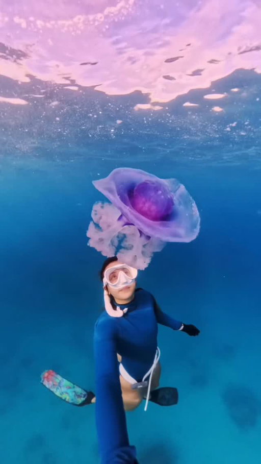 I love jellyfish 🪼🥹 We were out spearfishing when I came across this cute jelly and I was STOKED. I’ve spent so much time in the ocean but moments like this still hit the same. I literally forgot we were even hunting haha and just took a second to sit with it and appreciate the beauty right in front of me. When I got back to the boat I looked it up and found out it’s a Cephea cephea, a crown jellyfish! Can’t wait to keep exploring Fiji’s underwater word 🇫🇯🩵

#jellyfish #ocean #oceanworld #freedive #fiji